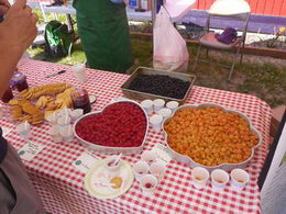 Berry Samples at 2013 taste of Alaska berries event